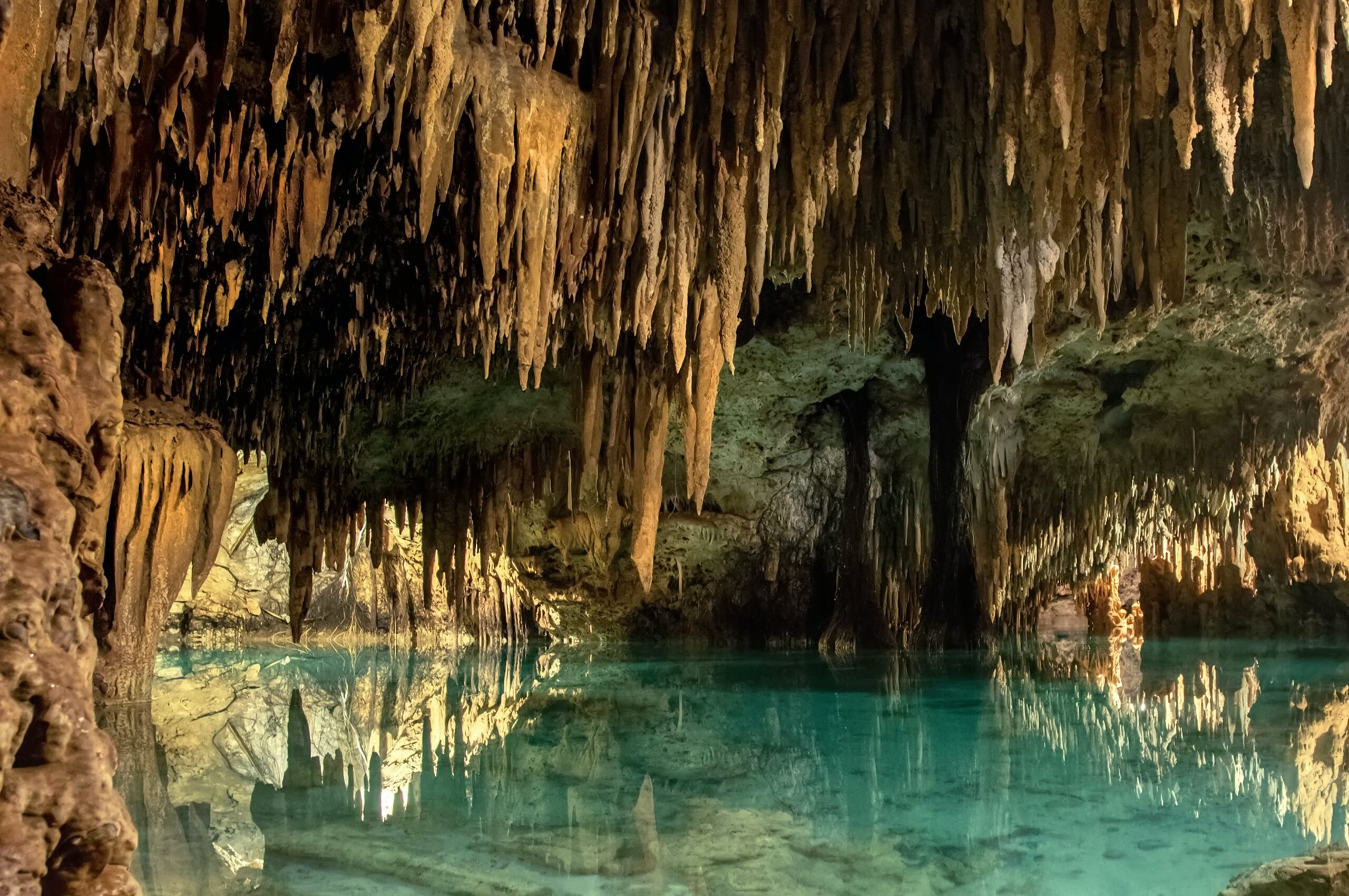 Cenotes Tour